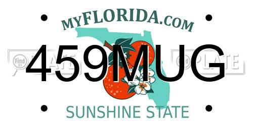 459MUG Florida License Plate