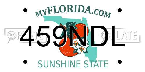 459NDL Florida License Plate