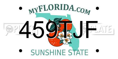 459TJF Florida License Plate