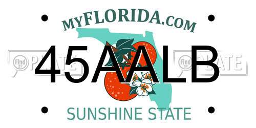 45AALB Florida License Plate