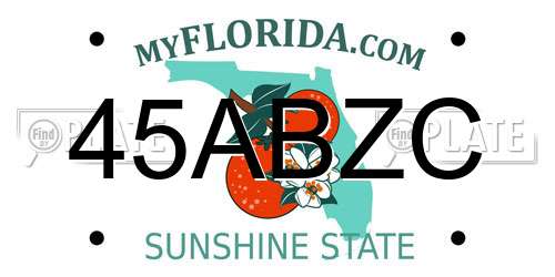 45ABZC Florida License Plate