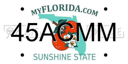 45ACMM Florida License Plate
