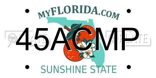45ACMP Florida License Plate