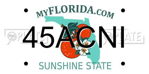 45ACNI Florida License Plate