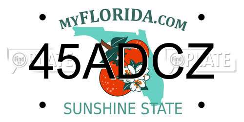 45ADCZ Florida License Plate