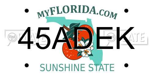 45ADEK Florida License Plate