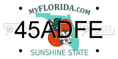 45ADFE Florida License Plate