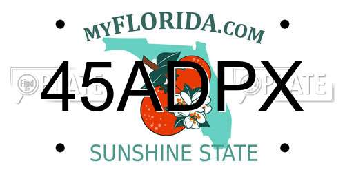 45ADPX Florida License Plate