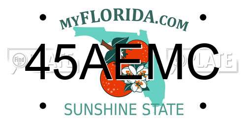 45AEMC Florida License Plate