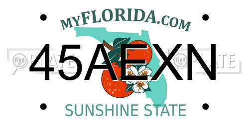 45AEXN Florida License Plate