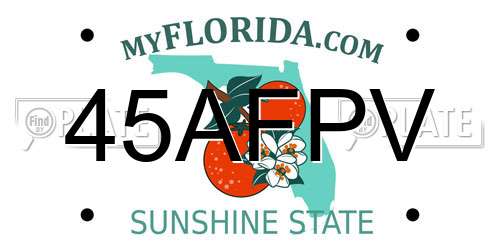 45AFPV Florida License Plate