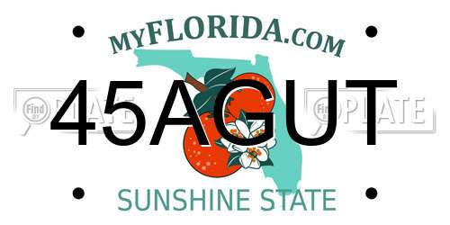 45AGUT Florida License Plate