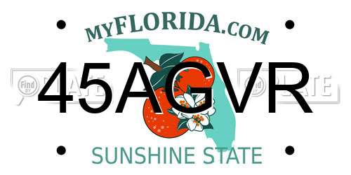 45AGVR Florida License Plate