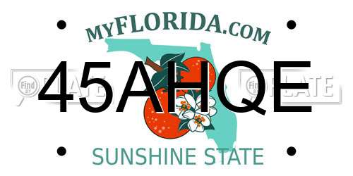 45AHQE Florida License Plate