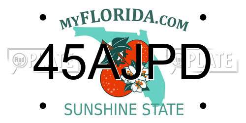 45AJPD Florida License Plate