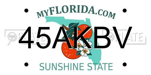 45AKBV Florida License Plate
