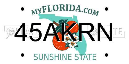 45AKRN Florida License Plate