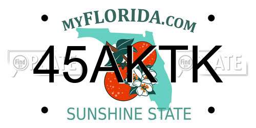 45AKTK Florida License Plate