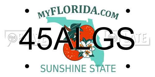 45ALGS Florida License Plate