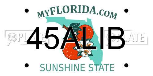 45ALIB Florida License Plate