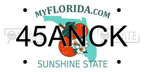 45ANCK Florida License Plate