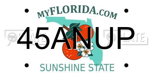 45ANUP Florida License Plate