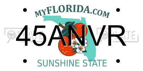 45ANVR Florida License Plate