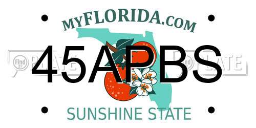 45APBS Florida License Plate
