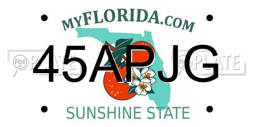 45APJG Florida License Plate