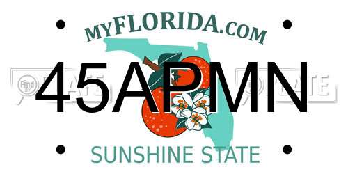 45APMN Florida License Plate