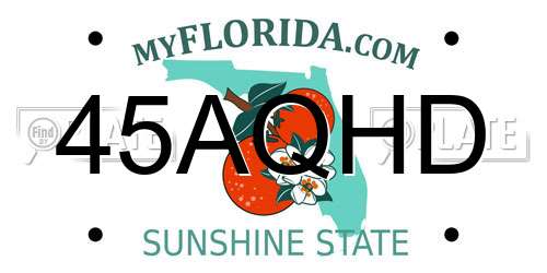 45AQHD Florida License Plate