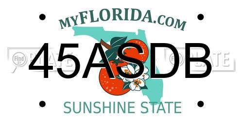 45ASDB Florida License Plate