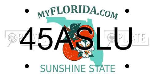 45ASLU Florida License Plate