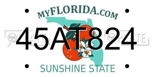 45AT824 Florida License Plate