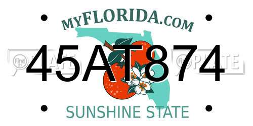 45AT874 Florida License Plate
