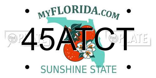 45ATCT Florida License Plate