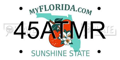 45ATMR Florida License Plate