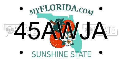 45AWJA Florida License Plate
