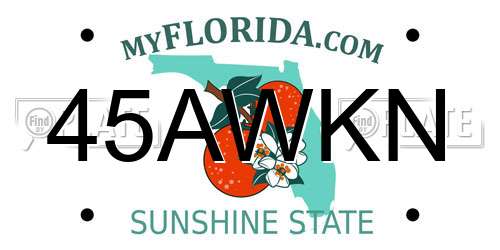 45AWKN Florida License Plate