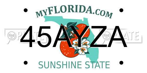 45AYZA Florida License Plate
