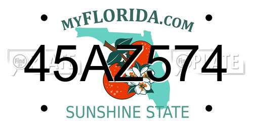 45AZ574 Florida License Plate