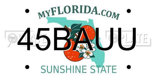 45BAUU Florida License Plate