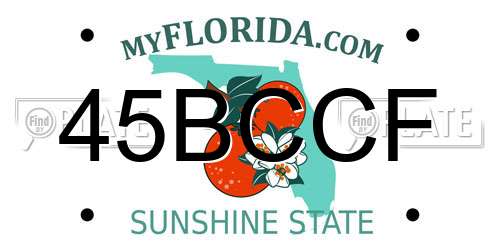 45BCCF Florida License Plate