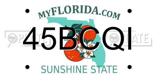 45BCQI Florida License Plate