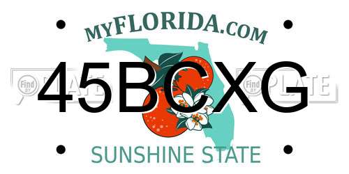45BCXG Florida License Plate