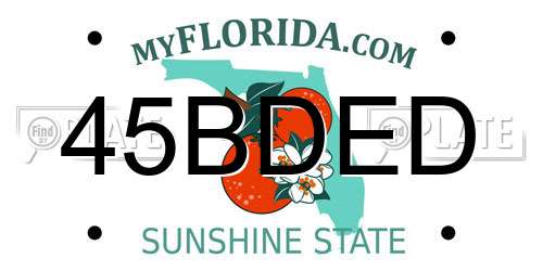 45BDED Florida License Plate