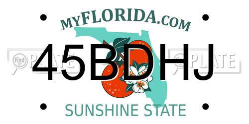 45BDHJ Florida License Plate