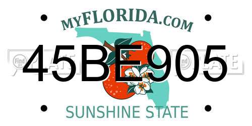 45BE905 Florida License Plate