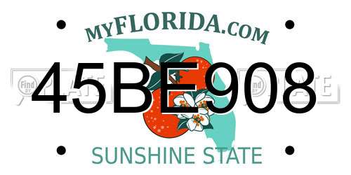 45BE908 Florida License Plate