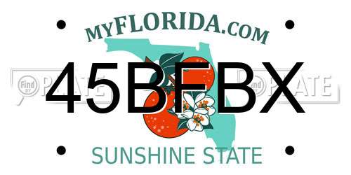 45BFBX Florida License Plate
